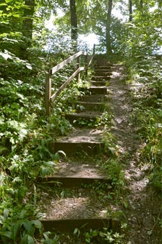 L'escalier du bois